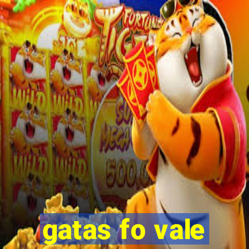 gatas fo vale